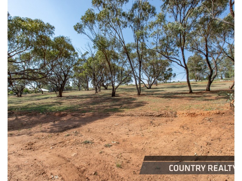 14 Ferguson Road, Toodyay WA 6566