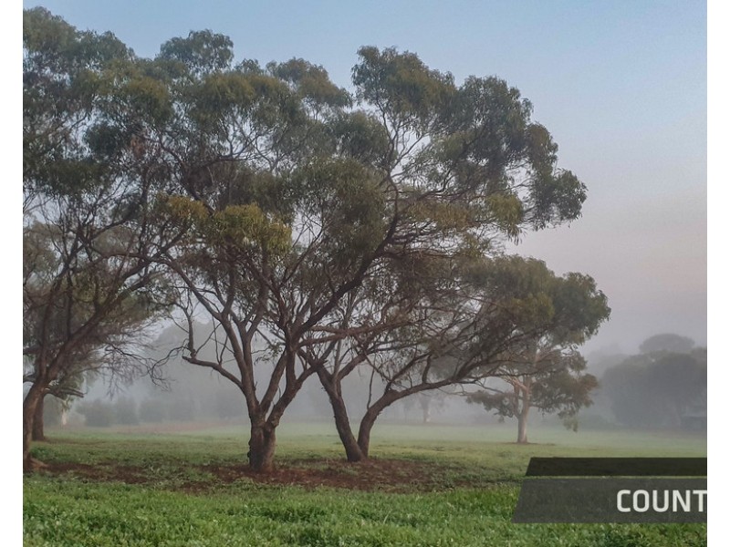 14 Ferguson Road, Toodyay WA 6566