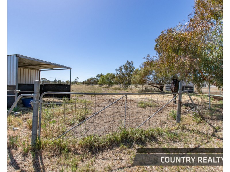 51 Suburban Road, Northam WA 6401