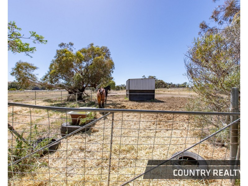 51 Suburban Road, Northam WA 6401