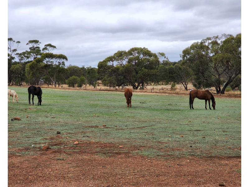 32 Second Road, Bejoording, Toodyay WA 6566