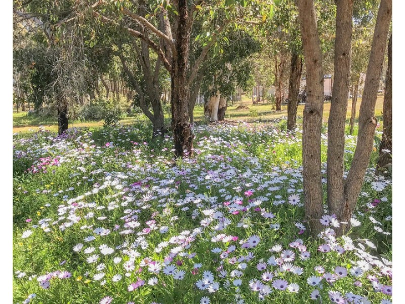 74 White Gum Ridge, Toodyay WA 6566