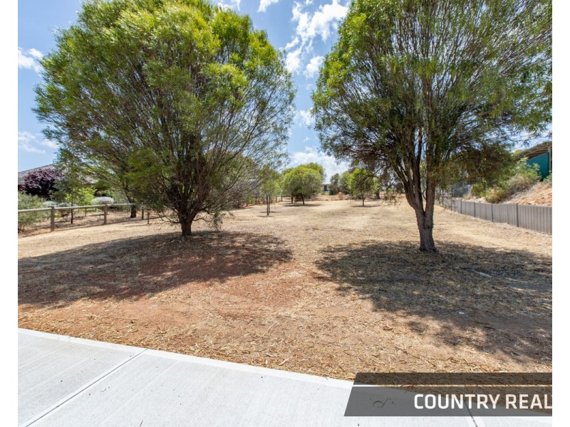 24 Harcourt Street, Toodyay WA 6566