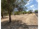24 Harcourt Street, Toodyay WA 6566