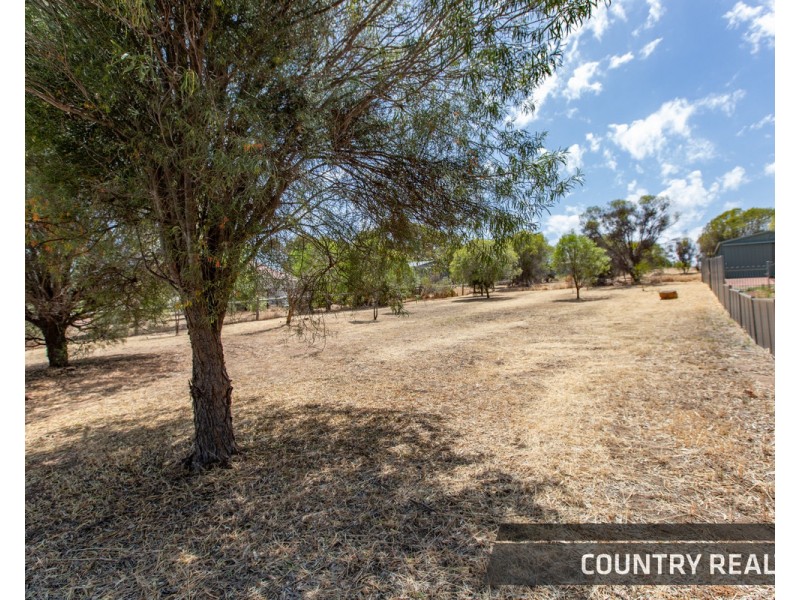 24 Harcourt Street, Toodyay WA 6566