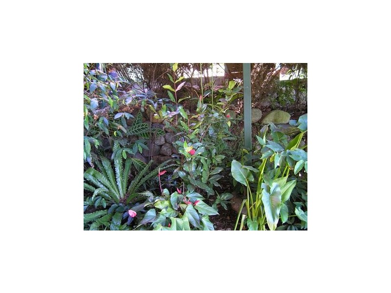 Eagle Heights QLD 4271