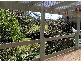 North Tamborine QLD 4272