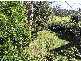North Tamborine QLD 4272