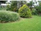 Tamborine Mountain QLD 4272
