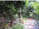 Tamborine Mountain QLD 4272