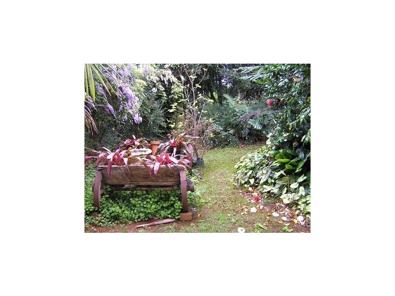 Tamborine Mountain QLD 4272