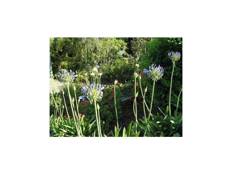 North Tamborine QLD 4272