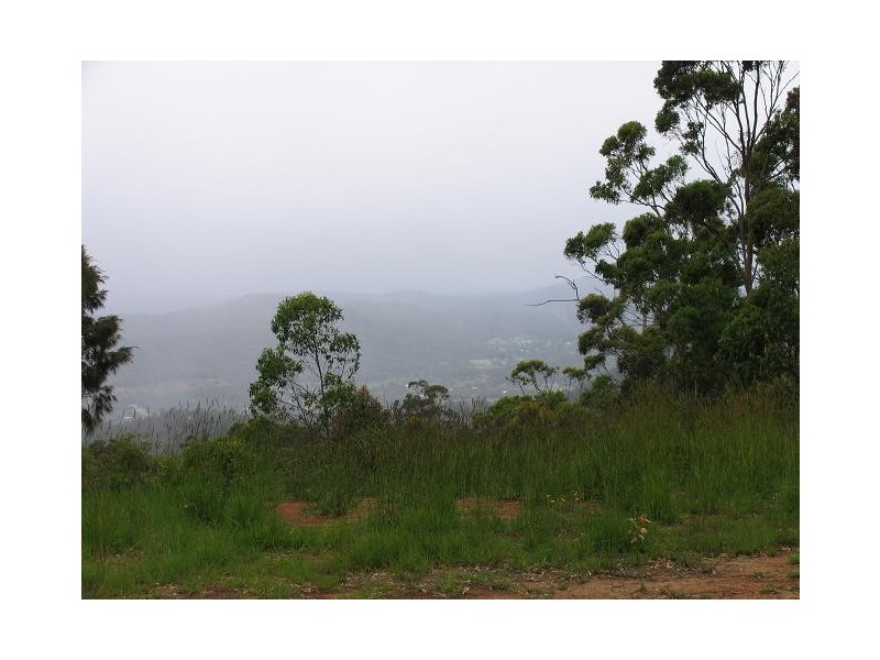 Tamborine Mountain QLD 4272