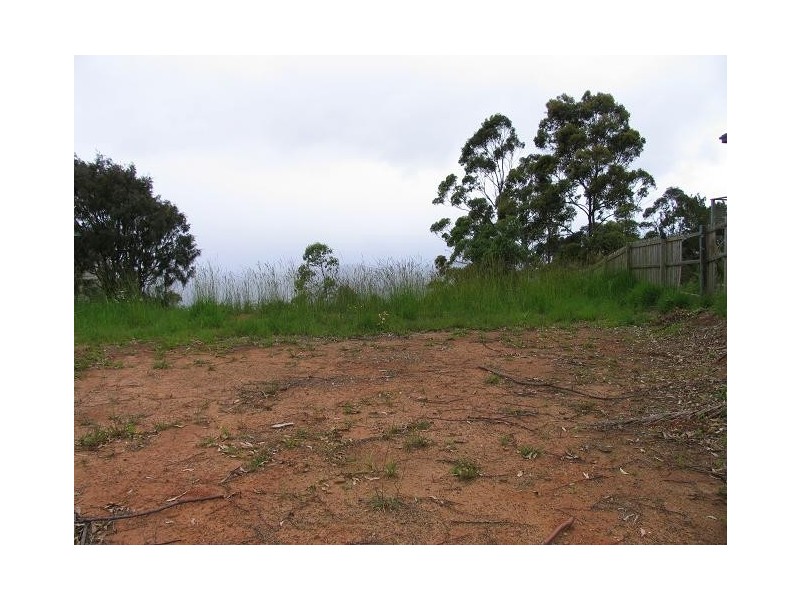 Tamborine Mountain QLD 4272