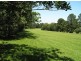 Tamborine Mountain QLD 4272