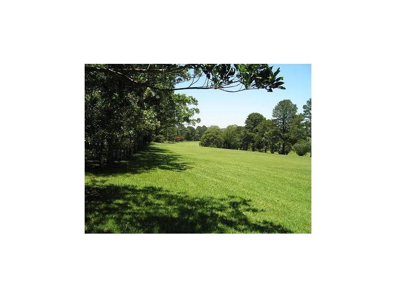 Tamborine Mountain QLD 4272
