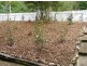 Eagle Heights QLD 4271