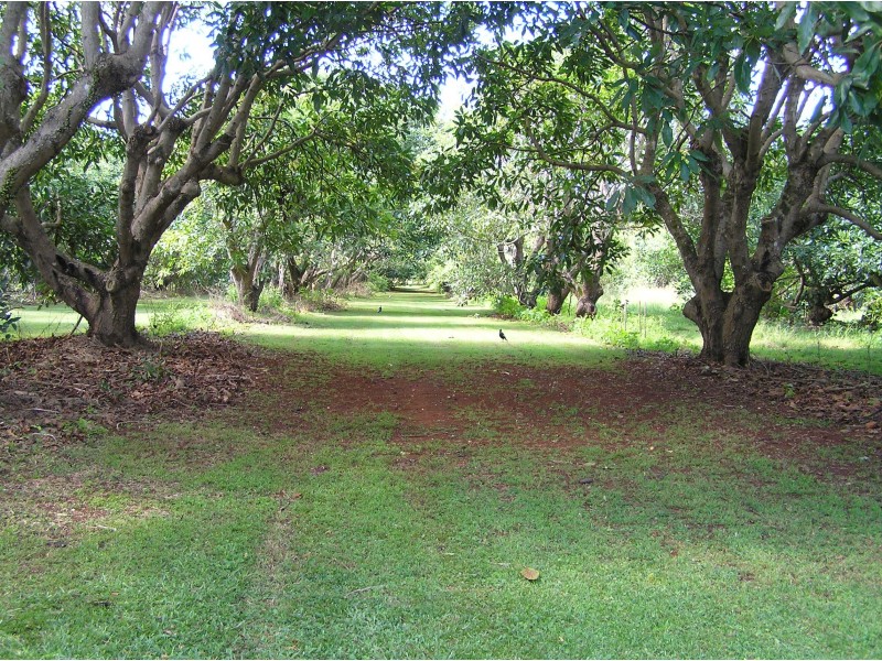 North Tamborine QLD 4272