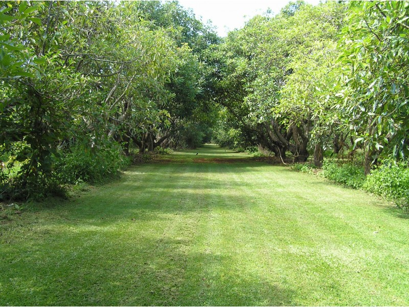 North Tamborine QLD 4272