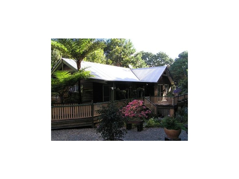 Tamborine Mountain QLD 4272
