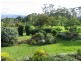 Tamborine Mountain QLD 4272