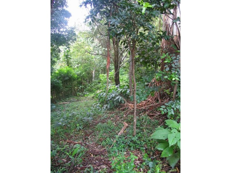 North Tamborine QLD 4272