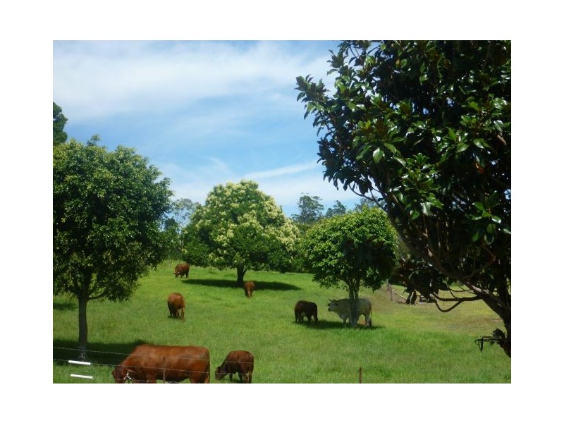 North Tamborine QLD 4272