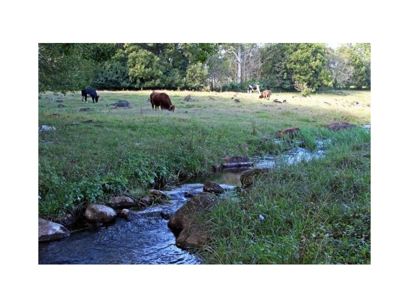 Tamborine Mountain QLD 4272