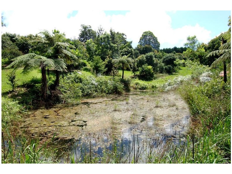 North Tamborine QLD 4272