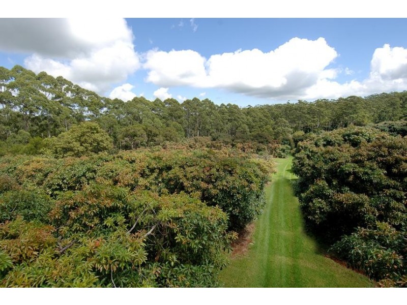 North Tamborine QLD 4272