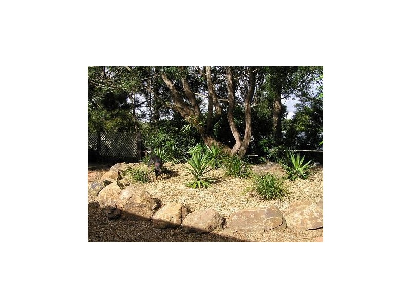 North Tamborine QLD 4272