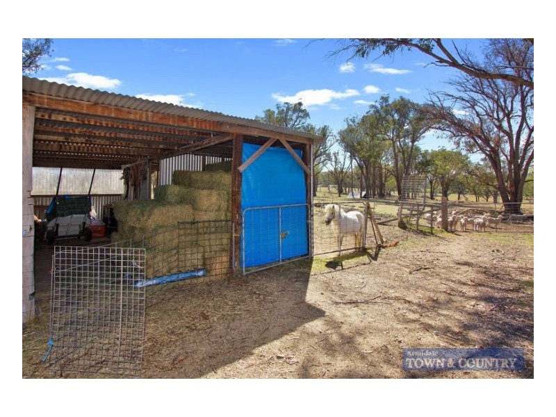 13 Stringybark Ridge Road, Armidale NSW 2350