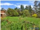 336 Herbert Park Road, Armidale NSW 2350