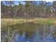 336 Herbert Park Road, Armidale NSW 2350
