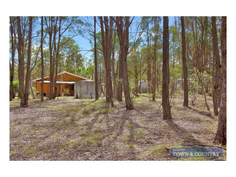 31 Adina Road, Invergowrie NSW 2350