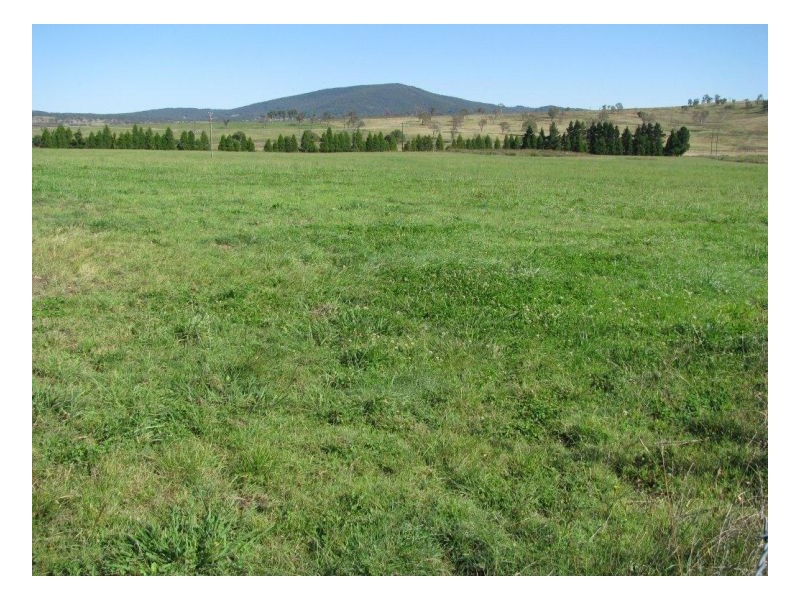 88 Hanlan Road, Armidale NSW 2350