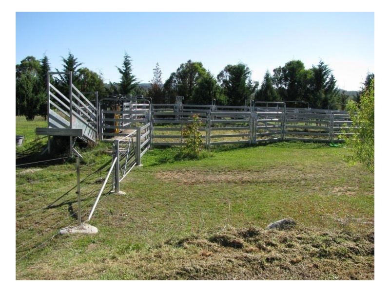 88 Hanlan Road, Armidale NSW 2350