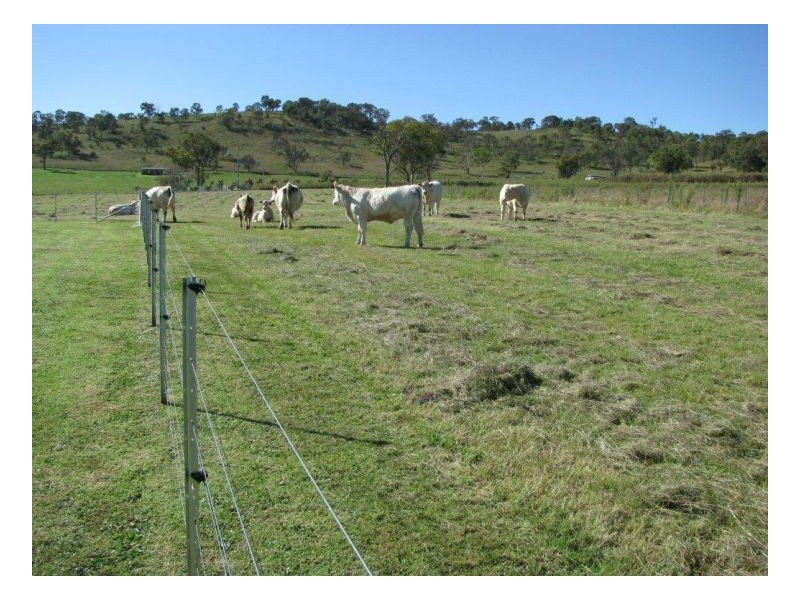 88 Hanlan Road, Armidale NSW 2350