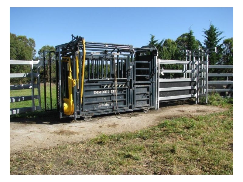 88 Hanlan Road, Armidale NSW 2350