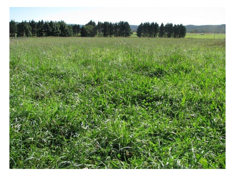 88 Hanlan Road, Armidale NSW 2350