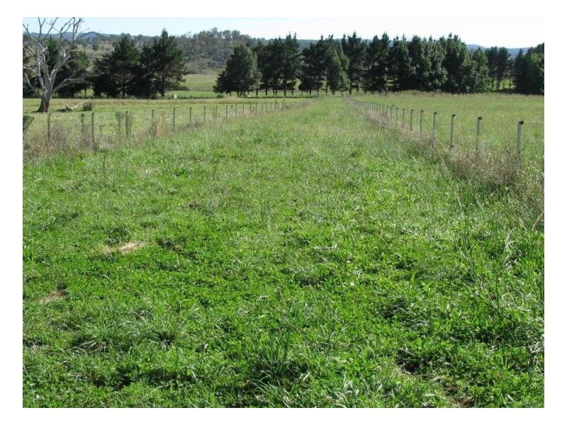 88 Hanlan Road, Armidale NSW 2350