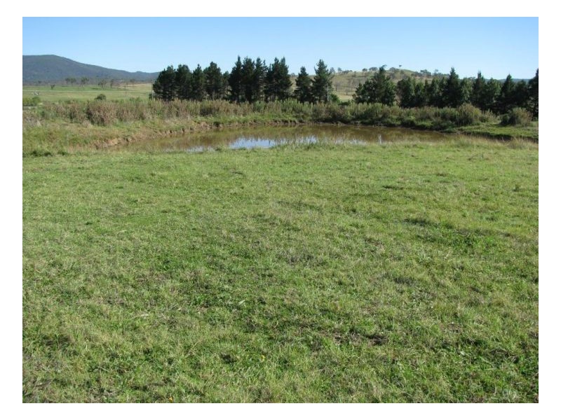 88 Hanlan Road, Armidale NSW 2350