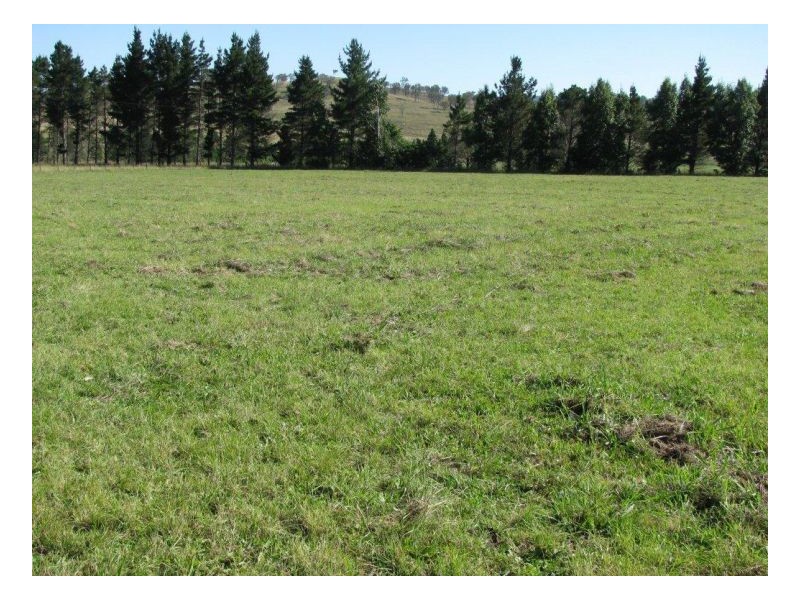 88 Hanlan Road, Armidale NSW 2350