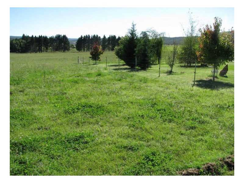 88 Hanlan Road, Armidale NSW 2350