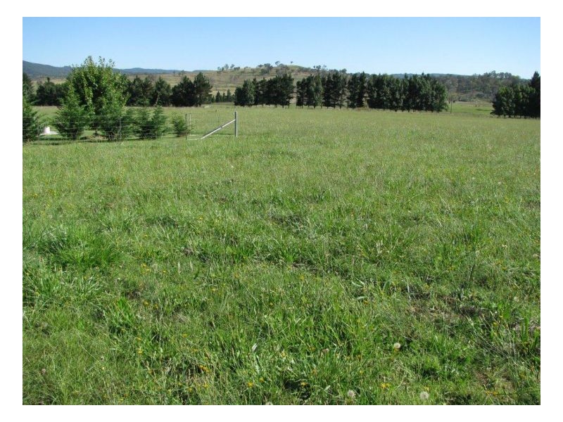 88 Hanlan Road, Armidale NSW 2350