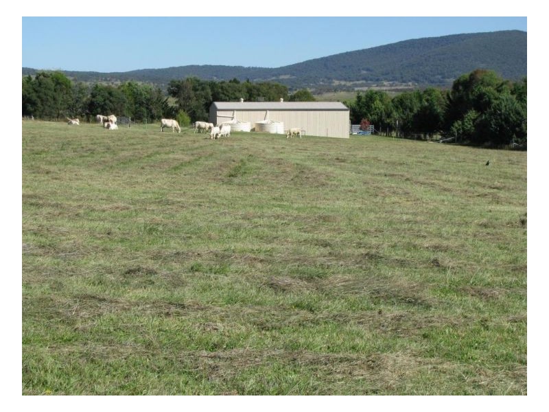 88 Hanlan Road, Armidale NSW 2350