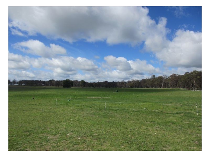 7168 New England Highway, Armidale NSW 2350