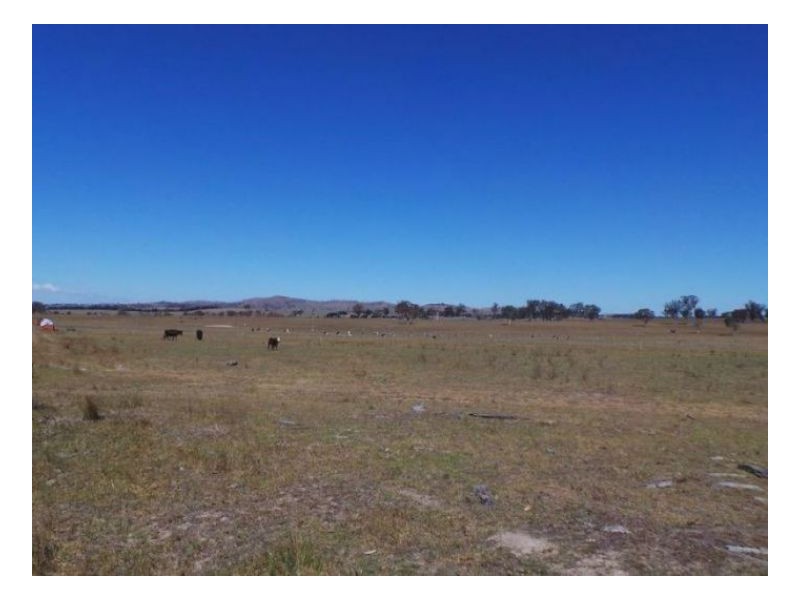 7168 New England Highway, Armidale NSW 2350