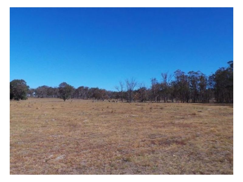 7168 New England Highway, Armidale NSW 2350