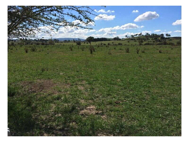 192 Dumaresq Road, Armidale NSW 2350